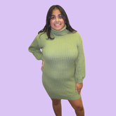 Turtle Neck Dress